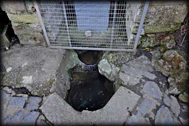 The Well 